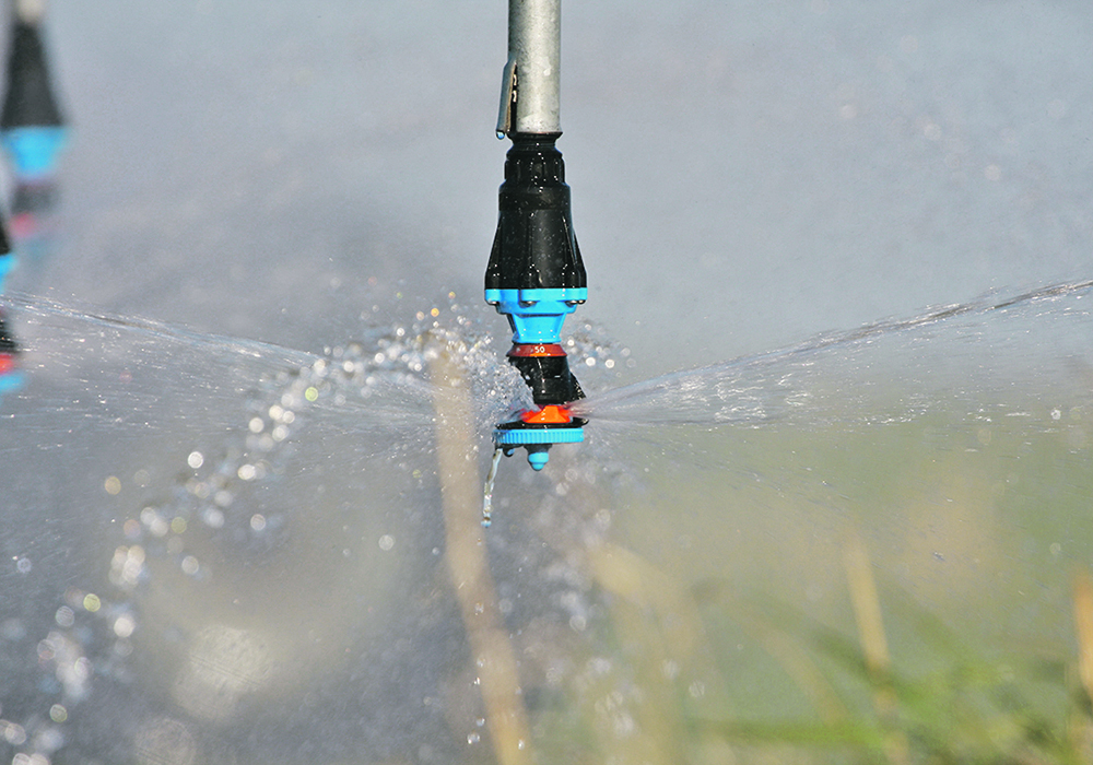 After years of discussion, the memberships of the Saskatchewan Irrigation Projects Association and the Irrigation Crop Diversification Centre voted at their annual meetings earlier this month in favour of board recommendations to proceed with amalgamation. | File photo