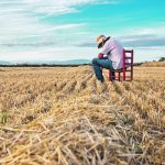 A University of Alberta study will look at stress factors surrounding family farm transitions and animal depopulation events. | Getty Images