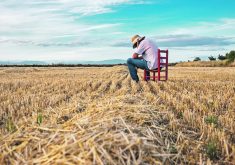 A University of Alberta study will look at stress factors surrounding family farm transitions and animal depopulation events.  |  Getty Images