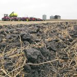The Sustainable Saskatchewan campaign argues the province’s carbon footprint in canola, wheat and field pea production is lower than its competitors. | File photo