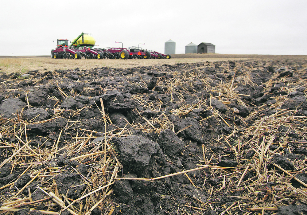 The Sustainable Saskatchewan campaign argues the province’s carbon footprint in canola, wheat and field pea production is lower than its competitors.  |  File photo