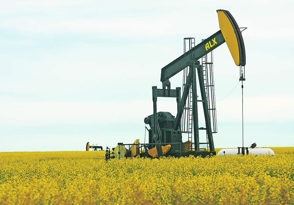 The biofuel sector is expected to account for 23 percent of total demand for canola by 2030, up from nine percent in 2020.   |  File photo