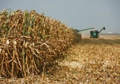 U.S. officials have threatened to take action under the United States-Mexico-Canada Agreement (USMCA), arguing that the Mexican ban on imports of genetically modified corn will harm U.S. farmers. | File photo