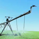 The Saskatchewan Irrigation Projects Association and the Irrigation Crop Diversification Centre are expected to take two to three years to develop a steering committee and move forward with amalgamation. | File photo