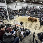 After only about 100 visitors from 20 countries visited in 2021 due to travel restrictions, the 2022 show saw 1,200 guests from 63 countries. | Screencap via Facebook/Canadian Western Agribition
