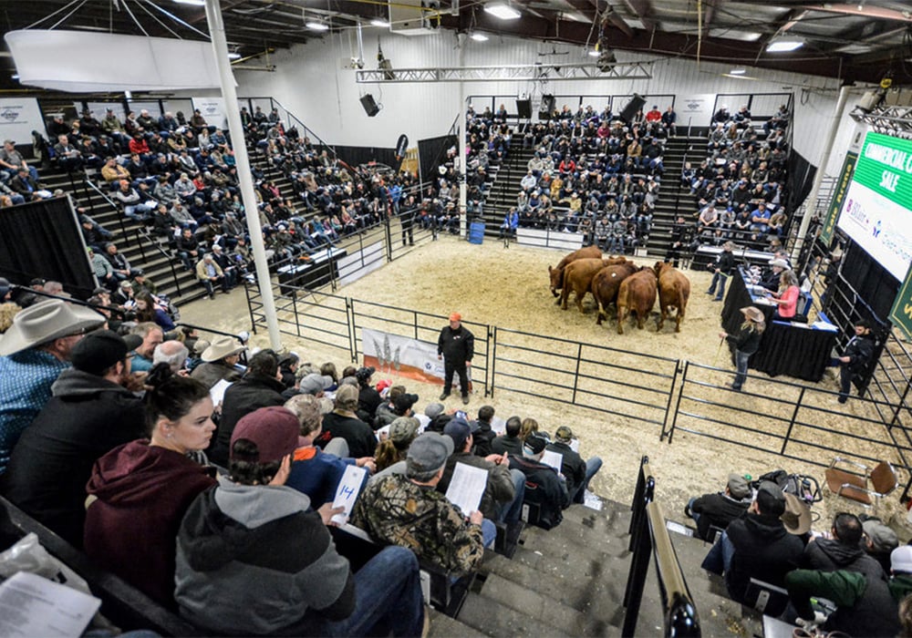 After only about 100 visitors from 20 countries visited in 2021 due to travel restrictions, the 2022 show saw 1,200 guests from 63 countries. | Screencap via Facebook/Canadian Western Agribition