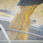 The U.S. Department of Agriculture says net farm income is forecast to increase to US$160.5 billion in 2022 from $141.0 billion a year earlier, an increase of $19.5 billion. | File photo