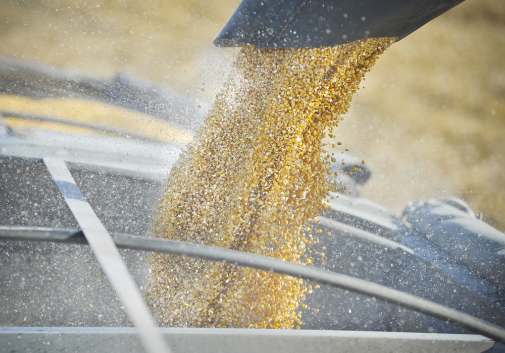 The U.S. Department of Agriculture says net farm income is forecast to increase to US$160.5 billion in 2022 from $141.0 billion a year earlier, an increase of $19.5 billion. | File photo