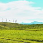 Rural municipalities in Alberta say the Alberta Utilities Commission doesn’t fully consult with them when approving renewable energy projects on private land, which is deepening divisions by leaving rural Albertans without a clear way to have their concerns heard. | Canadian Renewable Energy Association photo