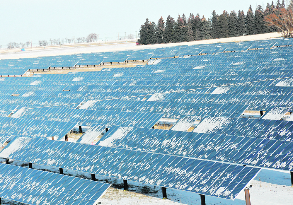 The Canadian Renewable Energy Association says its members take farmers&rsquo; expectations into account when installing solar farms, ranging from the types of crops they would like to have co-located with solar arrays to how equipment is deployed.  |  Alex McCuaig photo