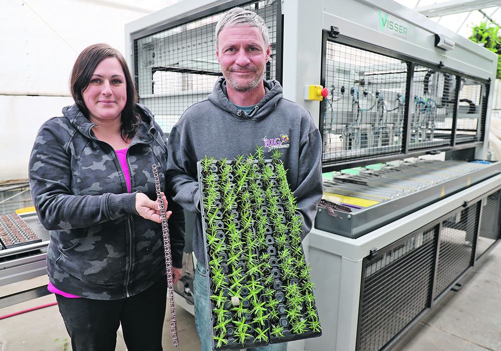 Mindy and Justin Bidewell stand in front of their new AutoStix machine. Justin is holding a tray of plants that had been transplanted with the machine, while Mindy holds a strip of clips that hold the newly cut plants and are planted into the trays.  |  Mary MacArthur photo