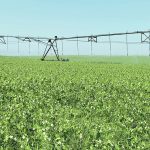 Farmland values in Alberta can range from $2,400 an acre in the Peace Country to $11,500 an acre for irrigated crops in the south. | File photo