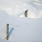 Phillip Harder, a research associate at he University of Saskatchewan’s Centre for Hydrology, says spring rain matters, but the impact of snow on soil moisture levels is not always fully appreciated. | Mike Sturk photo