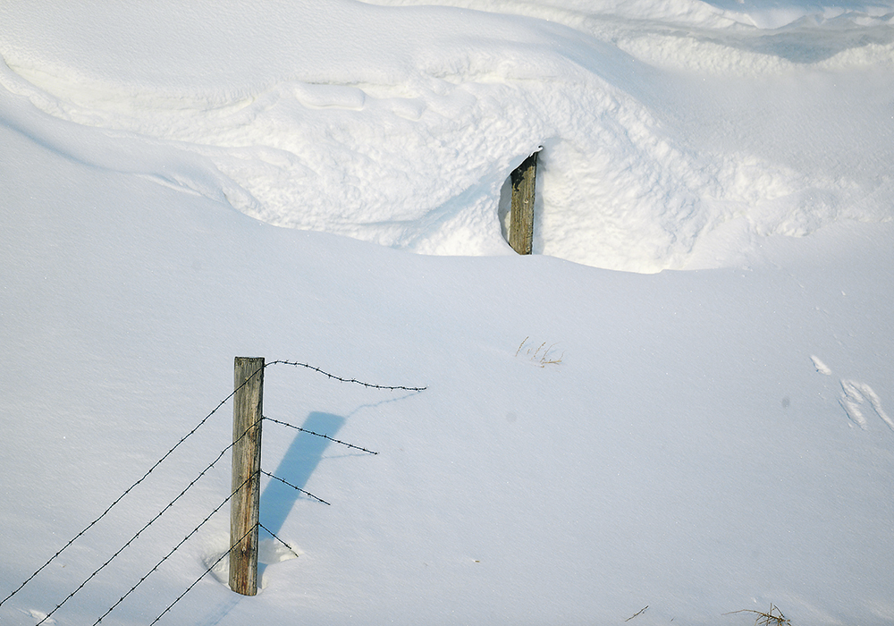 Phillip Harder, a research associate at he University of Saskatchewan’s Centre for Hydrology, says spring rain matters, but the impact of snow on soil moisture levels is not always fully appreciated.  |  Mike Sturk photo