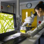 Cell cultures can be used to grow cells taken from animals or plants, which traditionally has been conducted at a small scale in petri dishes in laboratories, said Heather Bruce, chair of the University of Alberta's department of agricultural food and nutritional science. Cellular agriculture aims to expand this process to create food products at an industrial scale, she said. | Getty Images