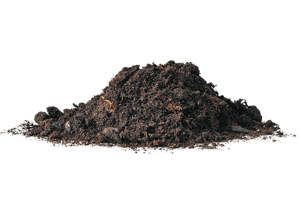 Soil depth is important in calculating changes in carbon, but so is the density of the soil. A lighter soil, say in a pasture with large amount of roots, will have a higher concentration of carbon. A compacted soil may have less carbon per kilogram, but scientists need to consider the weight of that compacted soil to estimate carbon stocks. | File photo