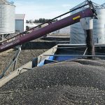 Some analysts don’t expect China’s canola buying spree to last because of the country’s problems with COVID and its economy. However, demand from domestic crushers and elsewhere around the world should remain strong, which when combined with Canada’s disappointing supply is expected to keep prices elevated. | File photo