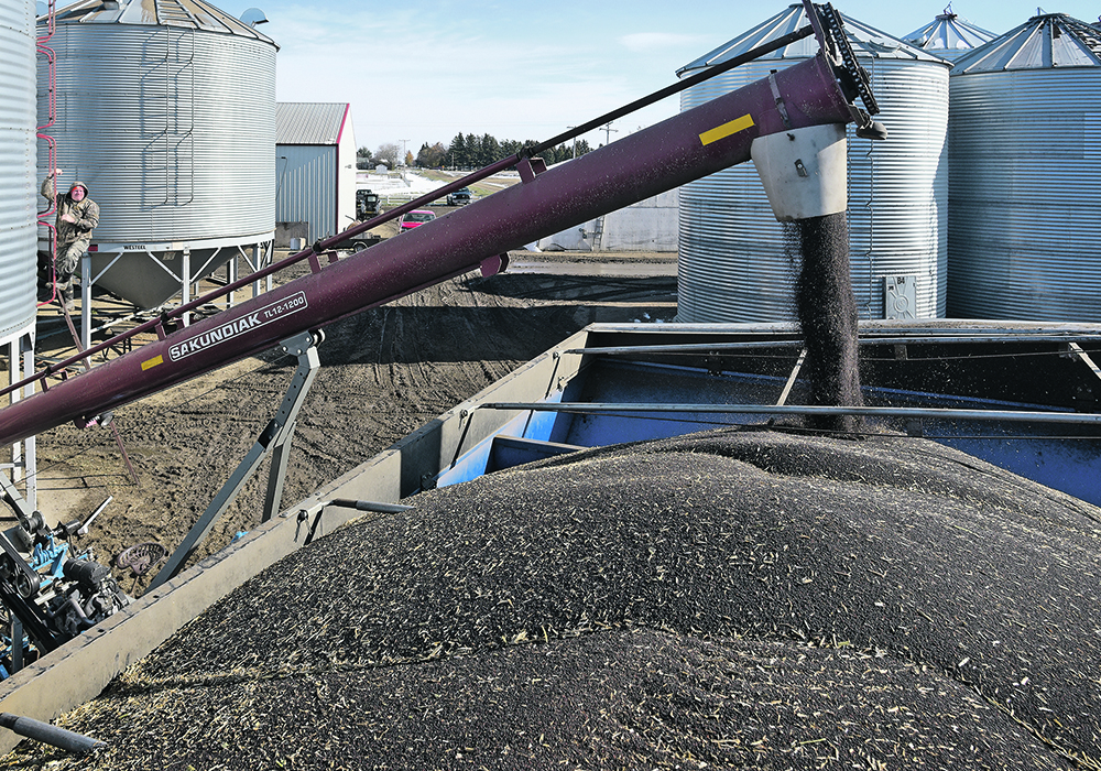 Some analysts don’t expect China’s canola buying spree to last because of the country’s problems with COVID and its economy. However, demand from domestic crushers and elsewhere around the world should remain strong, which when combined with Canada’s disappointing supply is expected to keep prices elevated.  |  File photo