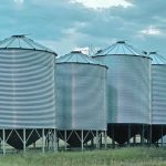 The founder of My Grain Exchange believes the electronic brokerage platform will be particularly well suited to pulse crops, special crops and feedgrains, where there is little existing price discovery. | File photo
