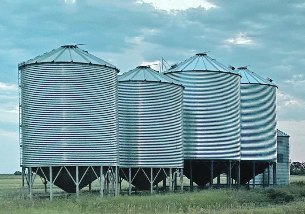 The founder of My Grain Exchange believes the electronic brokerage platform will be particularly well suited to pulse crops, special crops and feedgrains, where there is little existing price discovery.  |  File photo