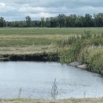 Projects like this one in Manitoba, where a simple dugout/dam holds back water that flows down a drainage channel while providing a dry crossing from one side of the field to the other, is an example of the work done by watershed authorities that has drawn the attention of provincial and federal governments looking to fund rural environmental programs. | File photo