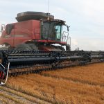 India could be in the market for a whopping 900,000 tonnes of lentils in 2023 if the price is right. The country recently extended its lentil import duty exemption for another year. | File photo