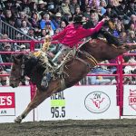 Kole Ashbacher, seen here at the Canadian Finals Rodeo in Red Deer in November, competed at the National Finals Rodeo in Las Vegas for the first time. | Chantelle Bowman/Wildwood Imagery photo