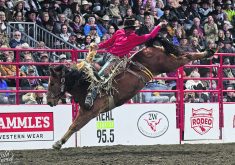 Kole Ashbacher, seen here at the Canadian Finals Rodeo in Red Deer in November, competed at the National Finals Rodeo in Las Vegas for the first time.  |  Chantelle Bowman/Wildwood Imagery photo