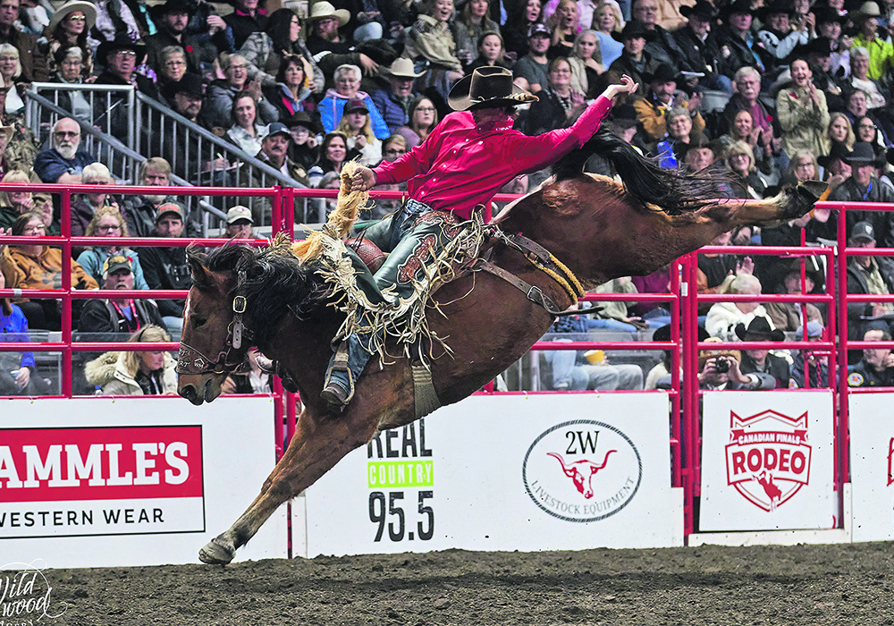 Kole Ashbacher, seen here at the Canadian Finals Rodeo in Red Deer in November, competed at the National Finals Rodeo in Las Vegas for the first time.  |  Chantelle Bowman/Wildwood Imagery photo