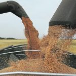Farmers who are looking to price out new crop are advised to do it in the next two to five weeks because of an expected downturn in the market. | File photo