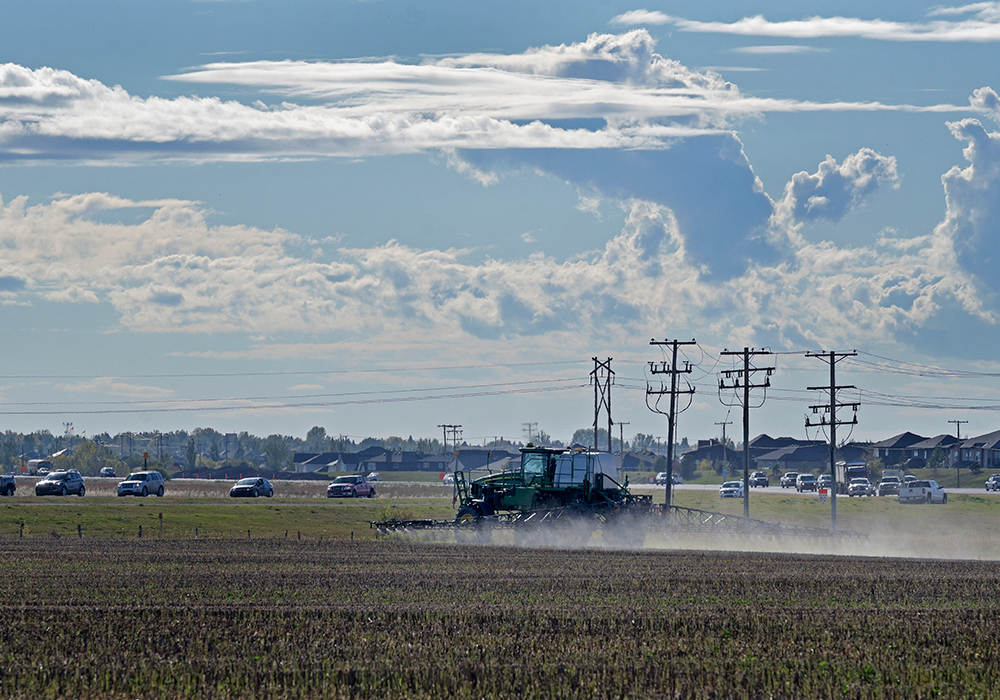 The opportunities to buy or rent farmland keep getting scarcer and the stakes keep getting higher. | File photo