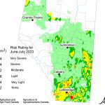 Southern portions of Alberta are anticipated see the highest numbers of grasshoppers in 2023, according to the latest numbers released by the province. | Source: Government of Alberta