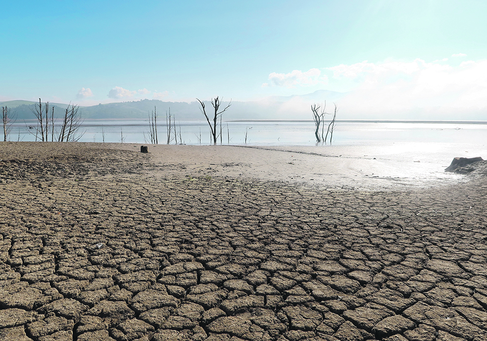 The ground is cracked Jan. 7 near the Sidi El Barrak reservoir at Nafza, Tunisia. The country is in its third year of drought and its reservoirs are at 25 percent of capacity.  |  Reuters/Jihed Abidellaoui photo