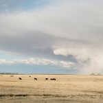 If you are spending your emergency savings, do you have a sufficient risk management plan if disaster hits? | File photo