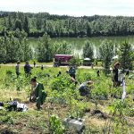 Volunteers plant thousands of edible perennial plants in Edmonton’s River Valley food forest. | Photo courtesy of Dustin Bajer
