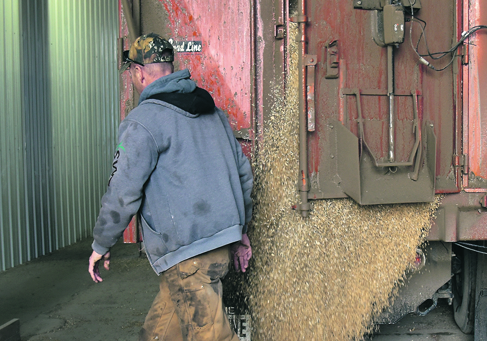 A consultant says grain companies are comfortable with the way things are when it comes to delivery contracts, but producers became more concerned during the 2021 drought when they found themselves unable to deliver promised grain and were subject to penalties.  |  File photo