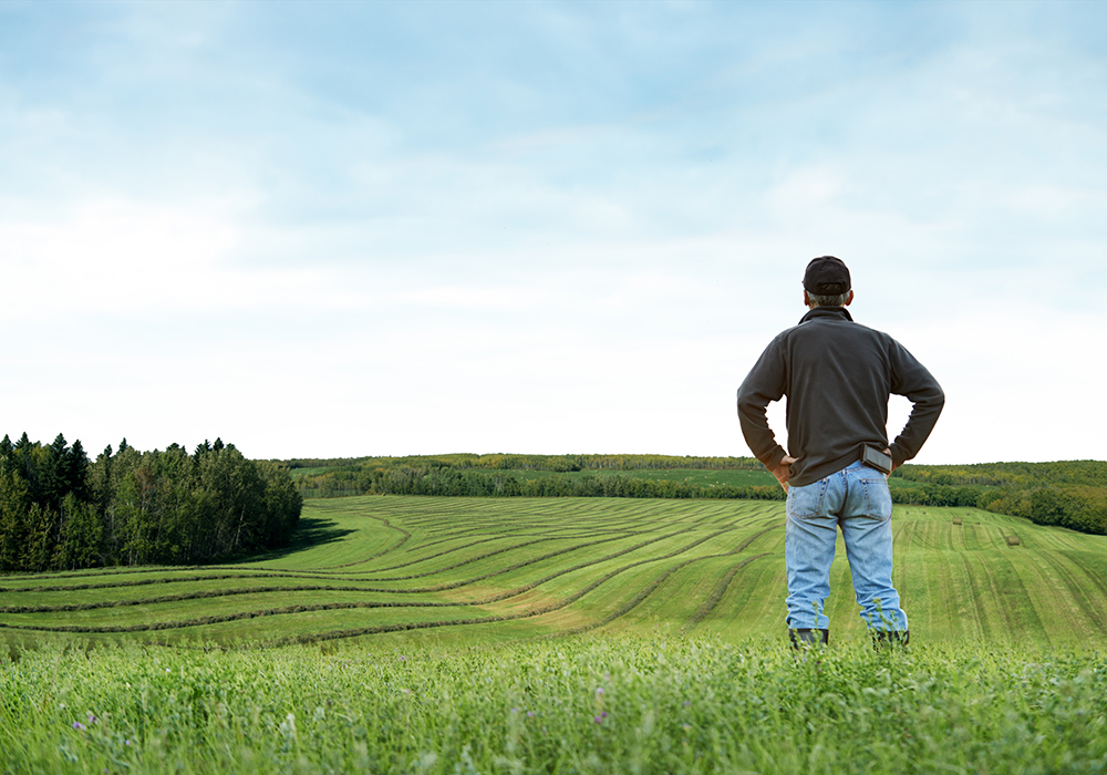 You might be surprised at what your farming operation qualifies for. | Getty Images