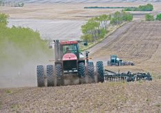 Agronomists think it might be better to seed canola later to avoid flea beetles. | File photo