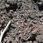 There are ways farmers can both increase profitability and reduce greenhouse gas emissions, such as improving their fertilizer management. | File photo