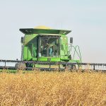 Cory Jacobs, crops specialist for the Province of Saskatchewan, said elevated mustard prices make the new hybrid varieties worth trying, even in northern areas of the province. | File photo