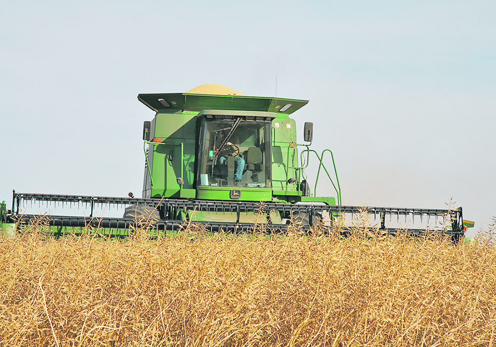 Cory Jacobs, crops specialist for the Province of Saskatchewan, said elevated mustard prices make the new hybrid varieties worth trying, even in northern areas of the province. | File photo
