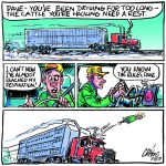 Livestock haulers need road rules flexibility