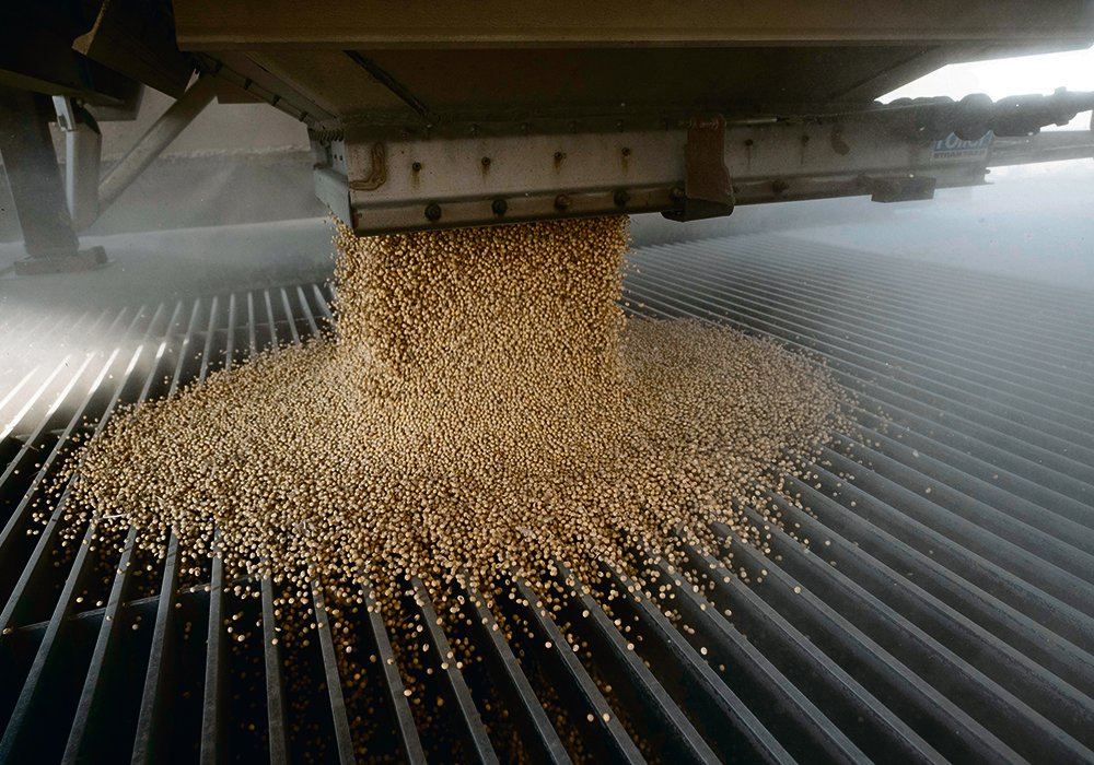 Seeded acreage last year sank to 900,000, the lowest level since 2012. However, with record yields last fall, soybeans are poised for a bounce back in 2023. | Reuters photo