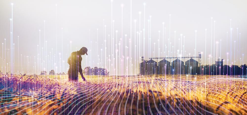 Why personalization is so important to your grain marketing strategy