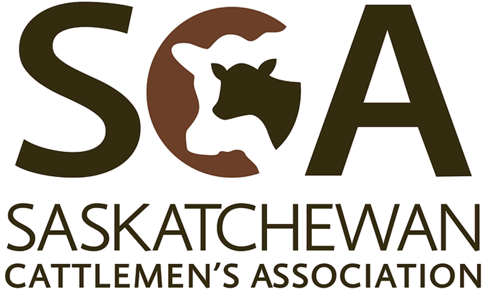 Keith Day of Kyle, Sask., has been named the new chair of the Saskatchewan Cattlemen’s Association. | Screencap via saskbeef.com