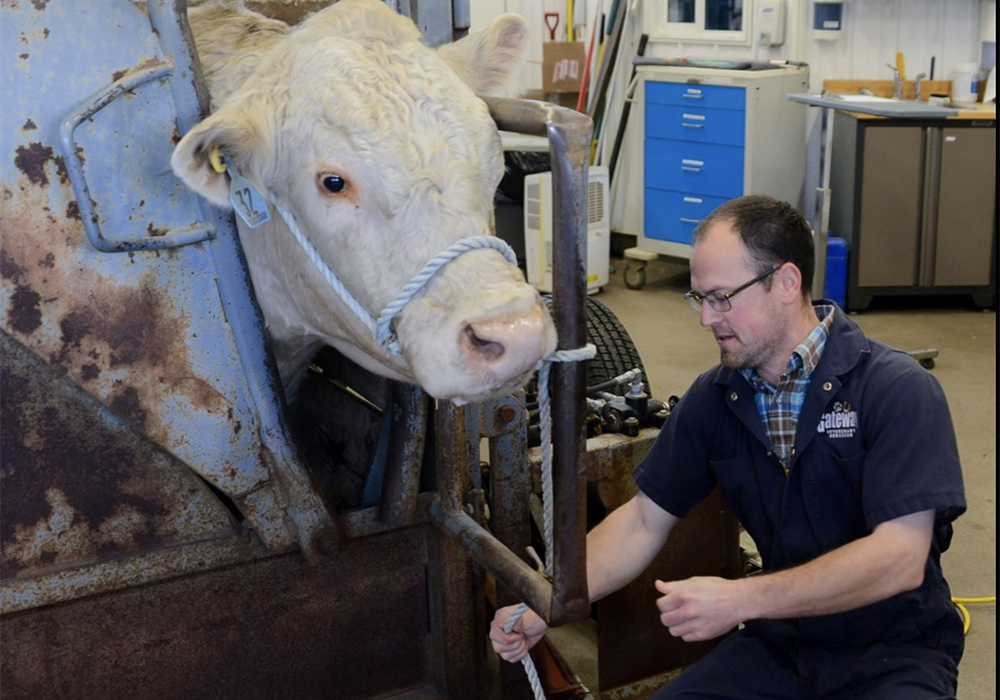Victor Kernaleguen, owner of Gateway Veterinary Services in Melfort, Sask., believes maintaining a solid relationship with 4-H members is key to helping them have more productive and healthier animals. | Facebook/Gateway Veterinary Services photo