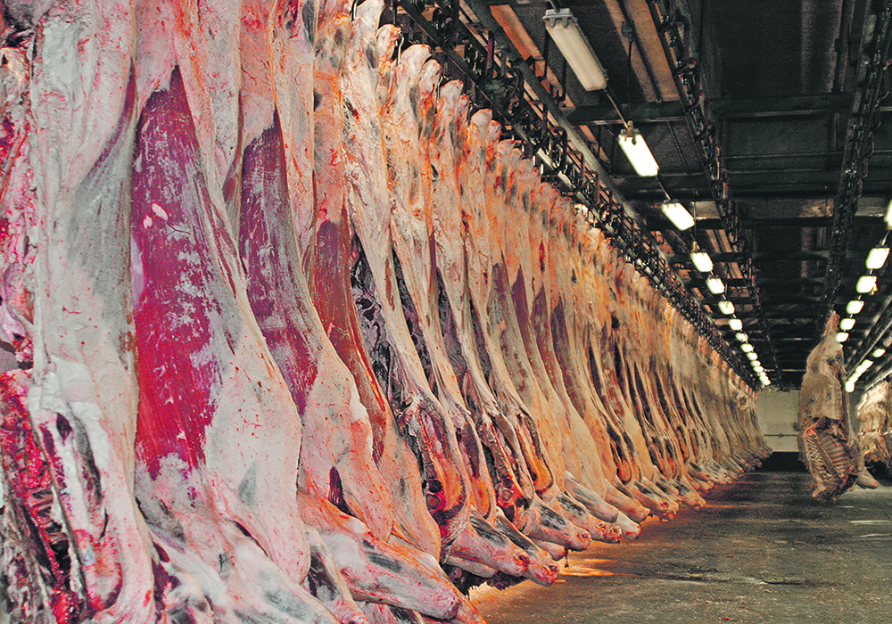 JBS CEO Gilberto Tomazoni says Brazil and the United States are well positioned to meet China’s growing demand for beef as the major food importer reopens after COVID-19 restrictions. | File photo