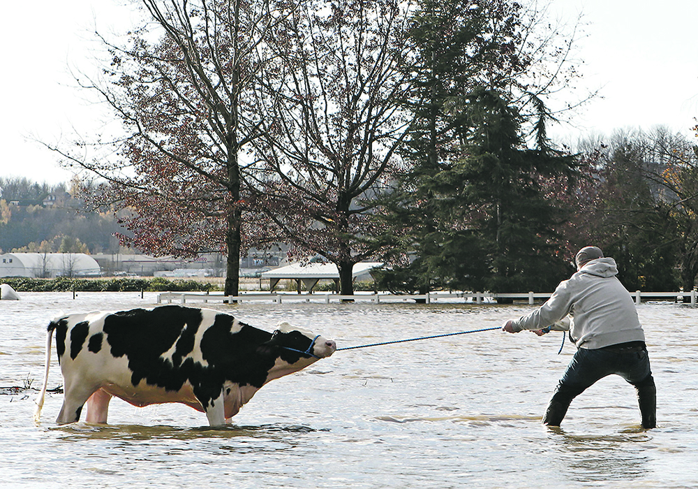 The devastating floods that swamped much of British Columbia’s Fraser Valley in 2021 flooded the basement of the current Animal Health Centre near Abbottsford, damaging mechanical systems and forcing the building’s closure.  |  Reuters/ Jesse Winter photo