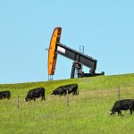 A grazing plan can be simple or detailed, depending on resources. | Mike Sturk photo