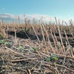 The Senate’s agriculture committee is told that Indigenous Services Canada’s funding formula can encourage First Nations to break marginal land for crop production because the band will receive more funding if they are able to issue more permits. | File photo